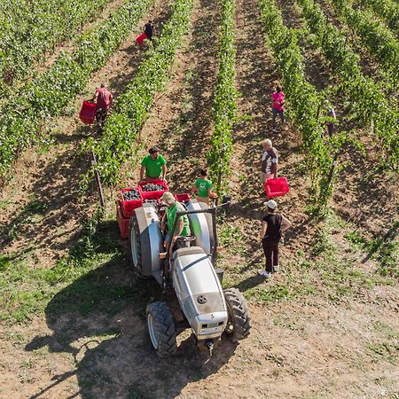 Il Querciolo - Azienda Biologica, Agriturismo E Cantina Marciano della Chiana ภายนอก รูปภาพ