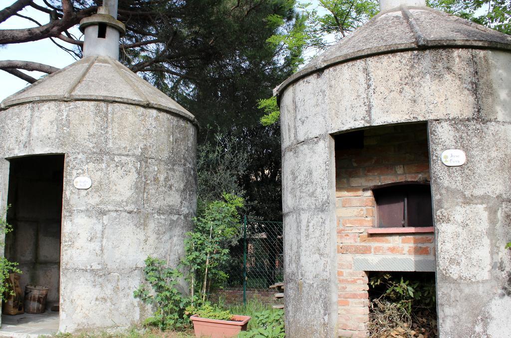 Il Querciolo - Azienda Biologica, Agriturismo E Cantina Marciano della Chiana ภายนอก รูปภาพ