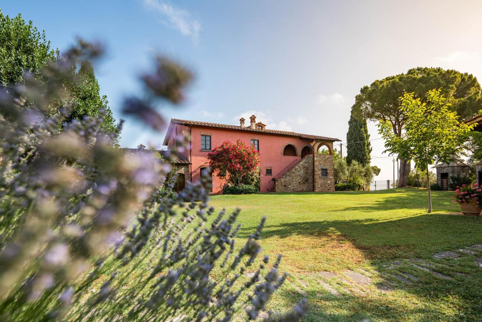 Il Querciolo - Azienda Biologica, Agriturismo E Cantina Marciano della Chiana ภายนอก รูปภาพ