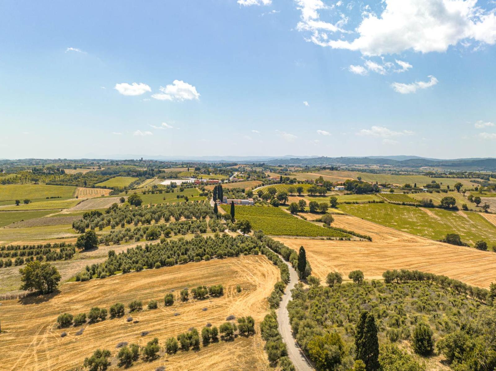 Il Querciolo - Azienda Biologica, Agriturismo E Cantina Marciano della Chiana ภายนอก รูปภาพ