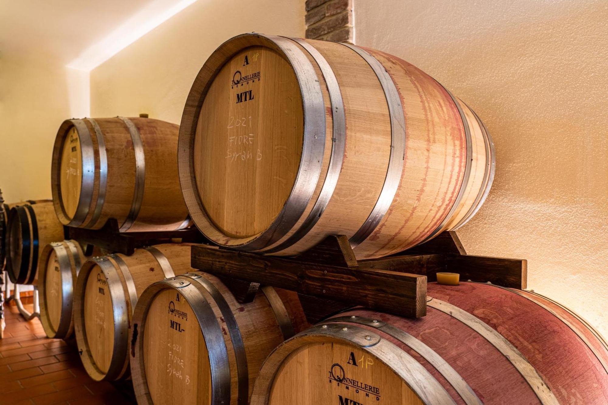 Il Querciolo - Azienda Biologica, Agriturismo E Cantina Marciano della Chiana ภายนอก รูปภาพ